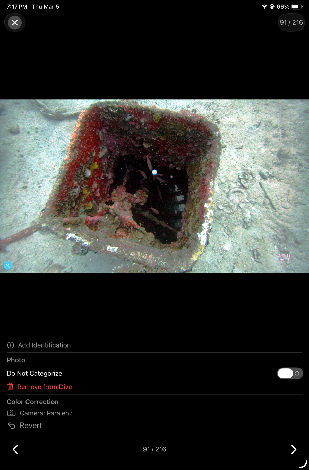 Paralenz camera after correction — red sponge and pink algae restored