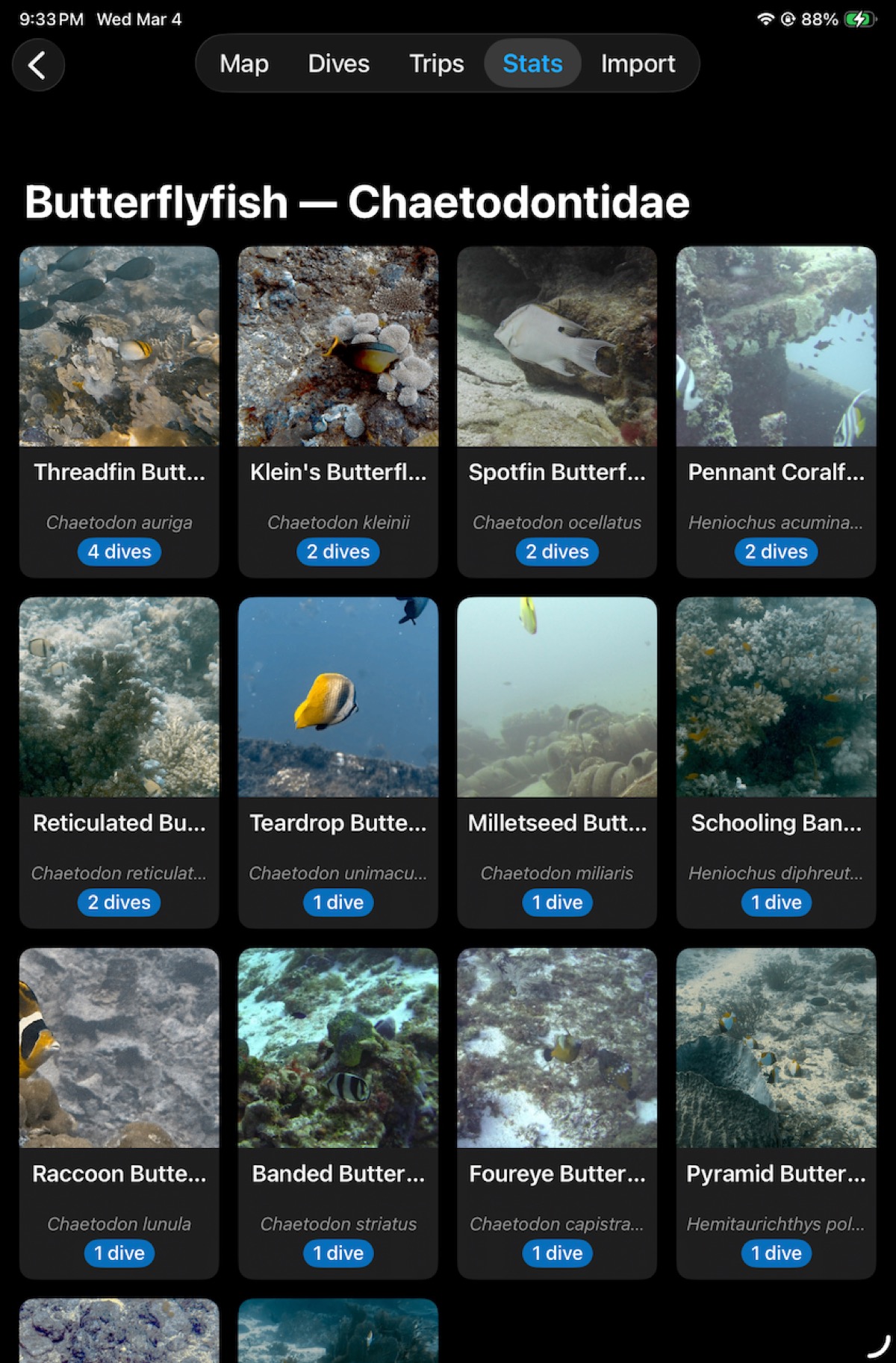 Butterflyfish — Chaetodontidae — 12 species identified across multiple dives with real dive photos, Latin binomials, and dive counts