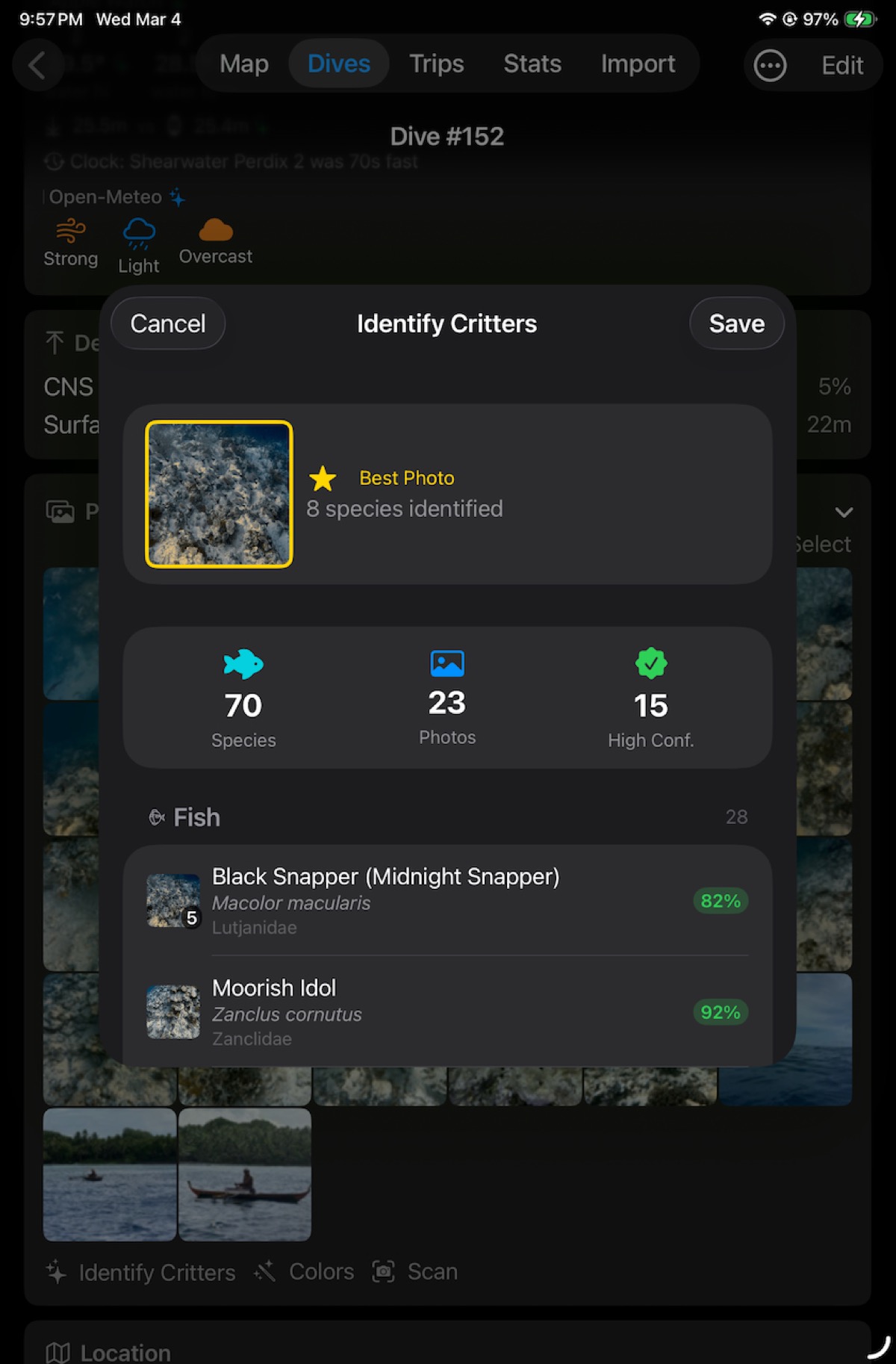 DeepSix Identify Critters complete — 70 species, 23 photos, 15 high confidence, Best Photo with 8 species
