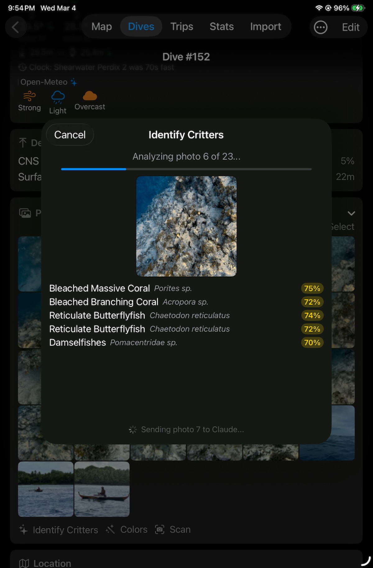 DeepSix Identify Critters in progress — Dive #152, Chuuk Lagoon, analysing photo 6 of 23 with live species results