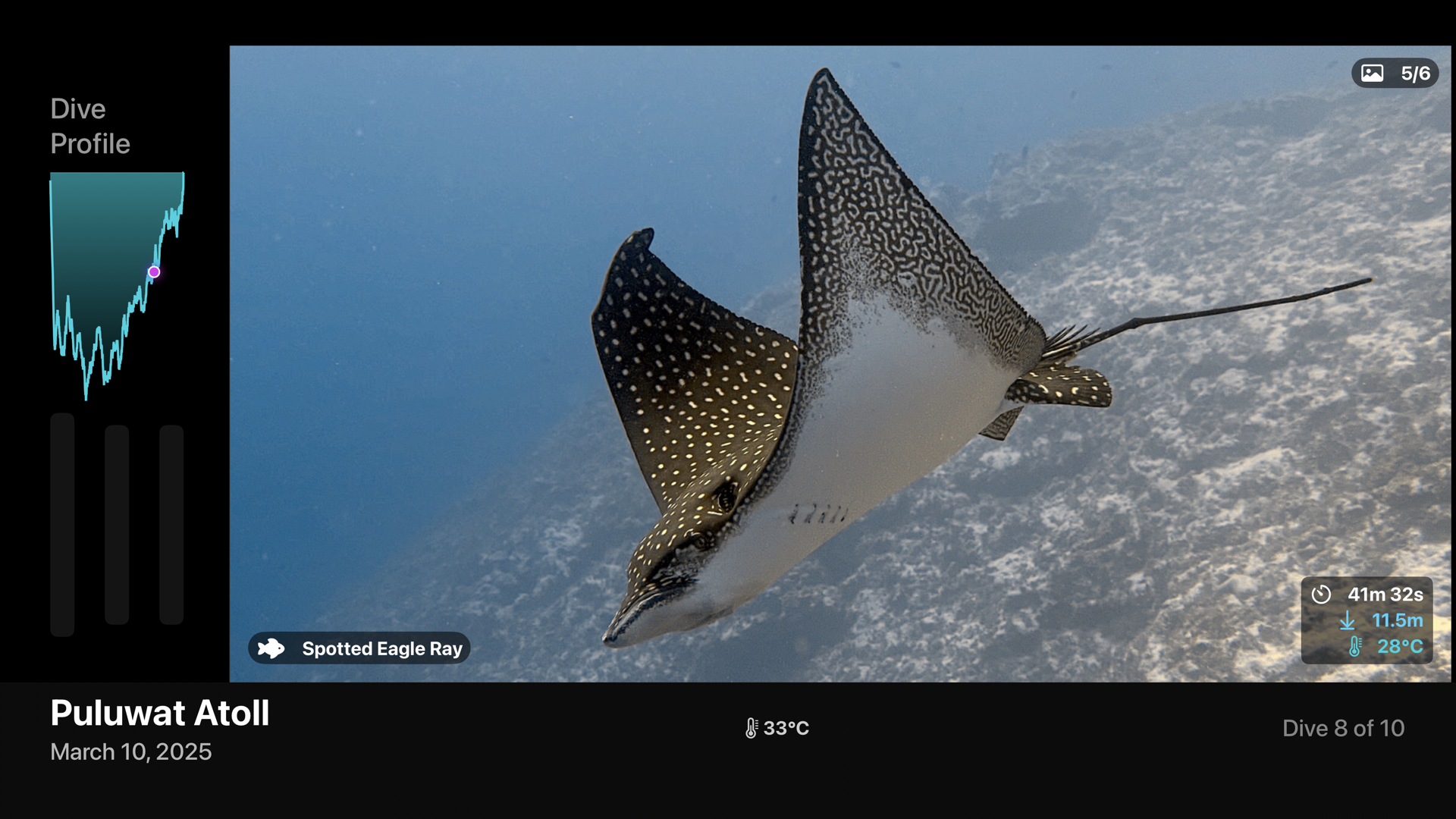 tvOS Dive Theater — Spotted Eagle Ray, Puluwat Atoll